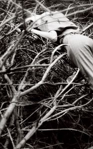 Preview wallpaper girl, branch, bw, look