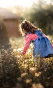 Preview wallpaper girl, child, dandelions, field