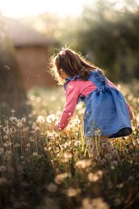 Preview wallpaper girl, child, dandelions, field