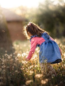 Preview wallpaper girl, child, dandelions, field