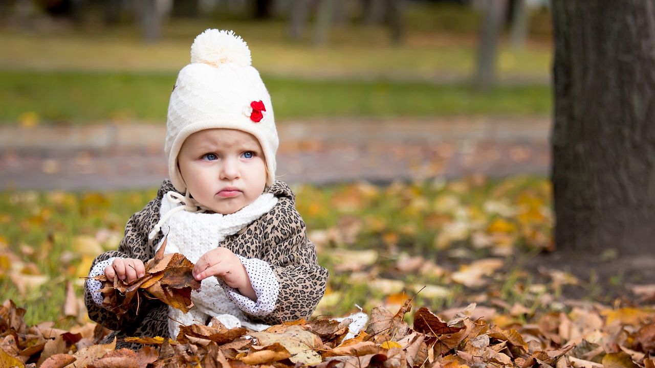 Wallpaper girl, child, fall, leaves