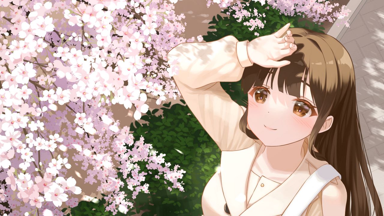 Wallpaper girl, coat, sakura, anime, art