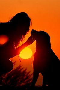 Preview wallpaper girl, dog, light, shadow, silhouette