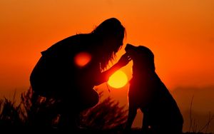 Preview wallpaper girl, dog, light, shadow, silhouette