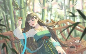 Preview wallpaper girl, dress, birds, anime