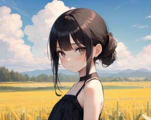 Preview wallpaper girl, dress, field, clouds, anime
