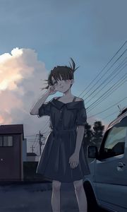 Preview wallpaper girl, dress, sunset, anime