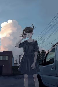 Preview wallpaper girl, dress, sunset, anime