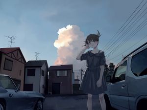 Preview wallpaper girl, dress, sunset, anime