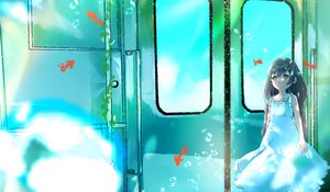 Preview wallpaper girl, dress, train, fishes, anime