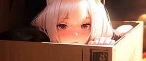 Preview wallpaper girl, ears, box, anime