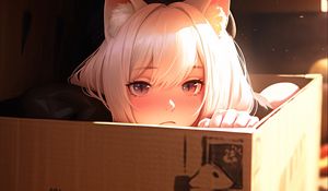 Preview wallpaper girl, ears, box, anime