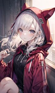 Preview wallpaper girl, ears, hood, window, anime