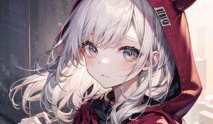 Preview wallpaper girl, ears, hood, window, anime