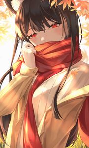 Preview wallpaper girl, ears, scarf, anime