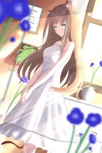 Preview wallpaper girl, ears, smile, dress, anime