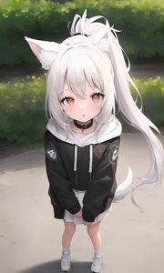 Preview wallpaper girl, ears, tail, choker, hoodie, anime