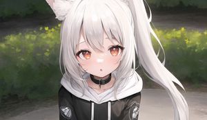 Preview wallpaper girl, ears, tail, choker, hoodie, anime