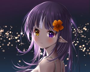 Preview wallpaper girl, elf, heterochromia, anime, art, purple