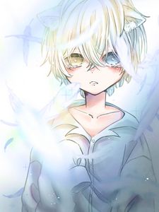 Preview wallpaper girl, feathers, heterochromia, anime