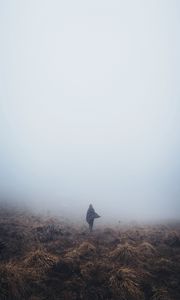 Preview wallpaper girl, field, grass, fog, alone