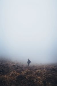 Preview wallpaper girl, field, grass, fog, alone