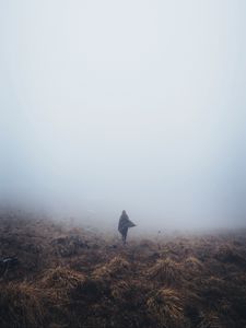 Preview wallpaper girl, field, grass, fog, alone