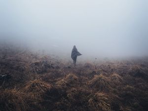 Preview wallpaper girl, field, grass, fog, alone