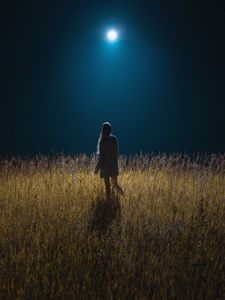 Preview wallpaper girl, field, night, moon, moonlight