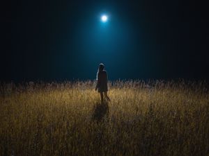 Preview wallpaper girl, field, night, moon, moonlight