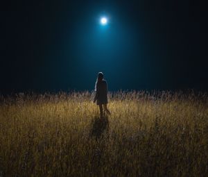 Preview wallpaper girl, field, night, moon, moonlight