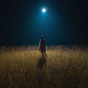 Preview wallpaper girl, field, night, moon, moonlight