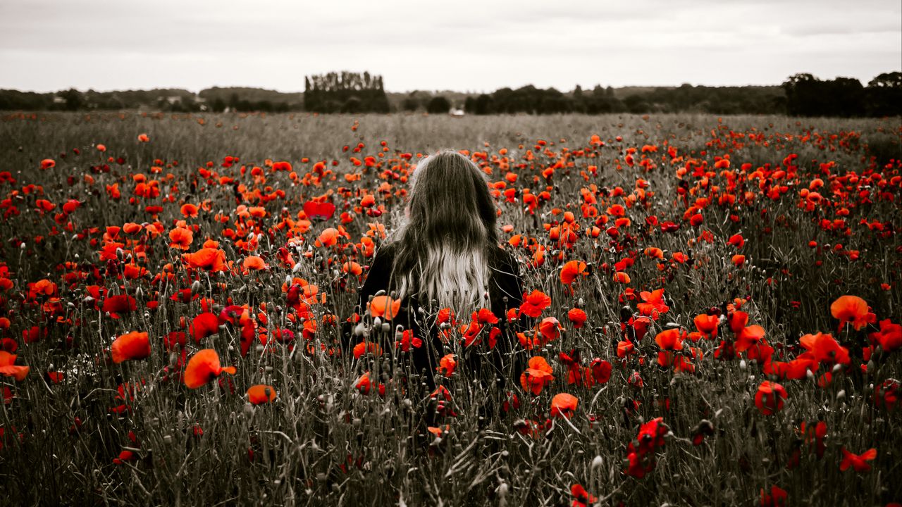 Wallpaper girl, field, poppies, flowers