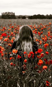 Preview wallpaper girl, field, poppies, flowers