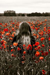 Preview wallpaper girl, field, poppies, flowers