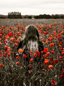 Preview wallpaper girl, field, poppies, flowers