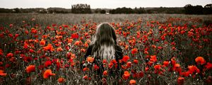 Preview wallpaper girl, field, poppies, flowers