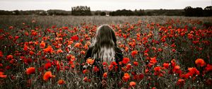 Preview wallpaper girl, field, poppies, flowers