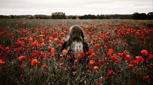 Preview wallpaper girl, field, poppies, flowers