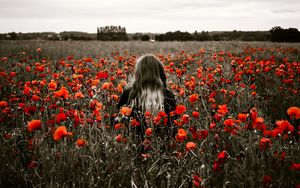 Preview wallpaper girl, field, poppies, flowers