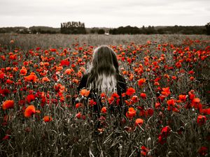 Preview wallpaper girl, field, poppies, flowers