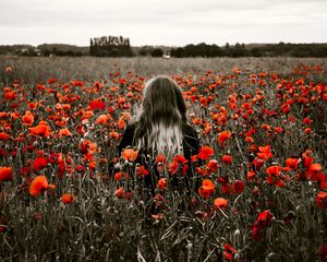 Preview wallpaper girl, field, poppies, flowers