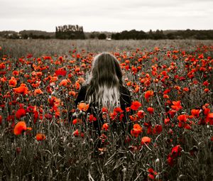 Preview wallpaper girl, field, poppies, flowers