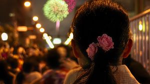 Preview wallpaper girl, flowers, fireworks, blur