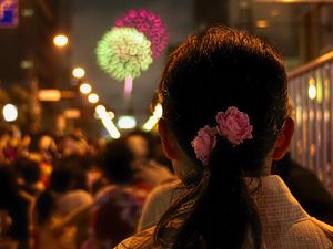 Preview wallpaper girl, flowers, fireworks, blur