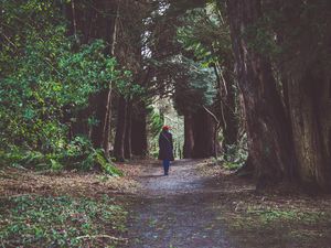 Preview wallpaper girl, forest, alone, nature