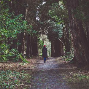 Preview wallpaper girl, forest, alone, nature