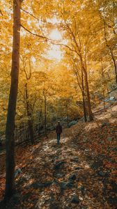 Preview wallpaper girl, forest, path, trees, slope, autumn