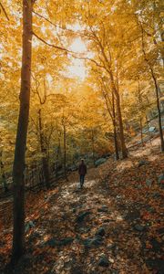 Preview wallpaper girl, forest, path, trees, slope, autumn