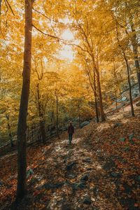 Preview wallpaper girl, forest, path, trees, slope, autumn
